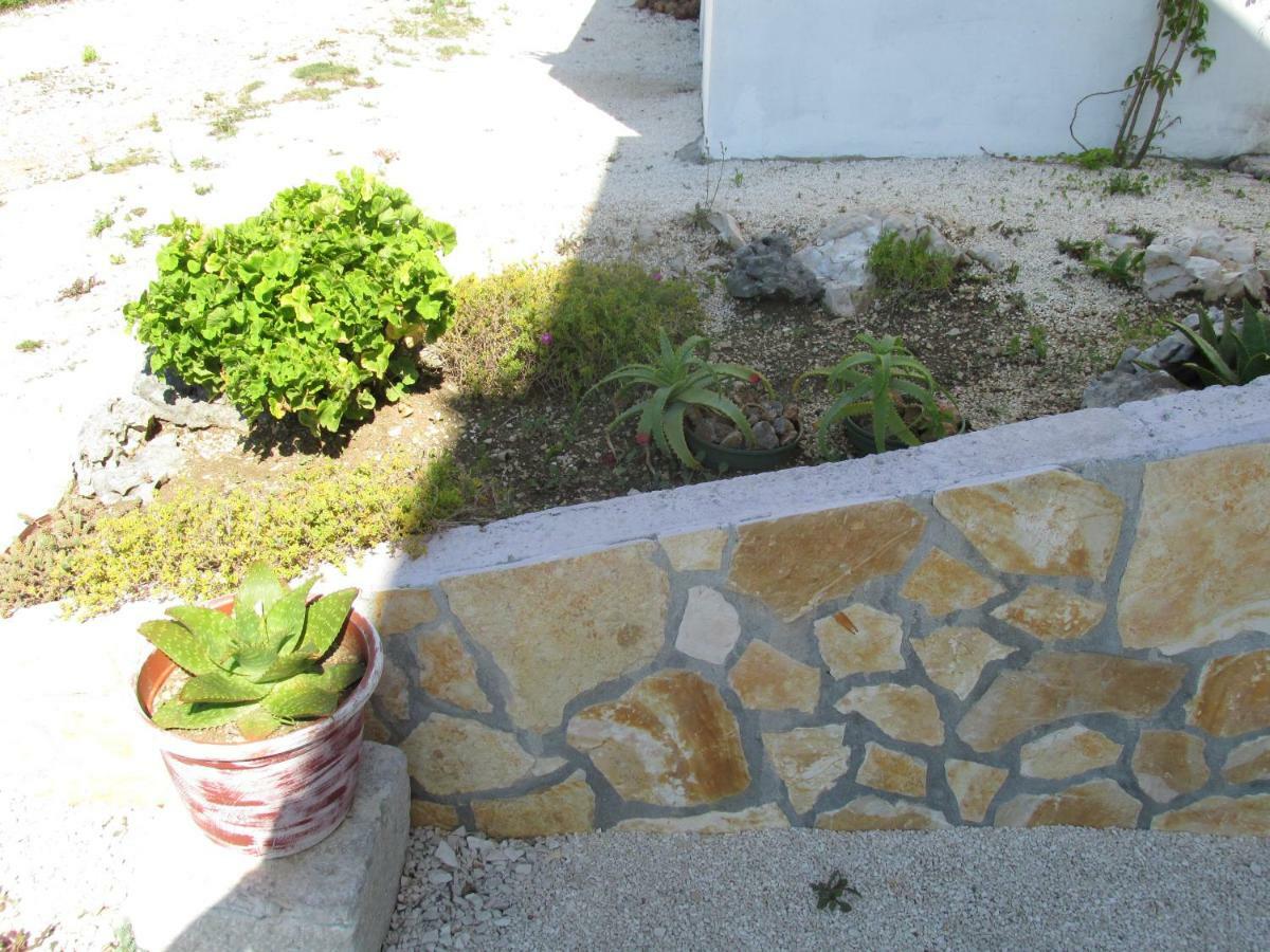 Sunny Apartman Pajdek سيفيد المظهر الخارجي الصورة